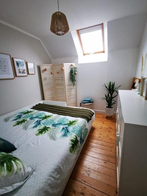 Guest House 60M2 Tout Confort Erquy Exteriér fotografie